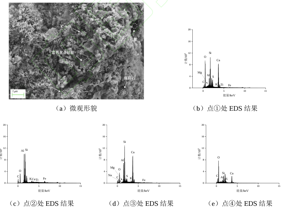 图6膏体M5的SEM-EDS测试结果.png