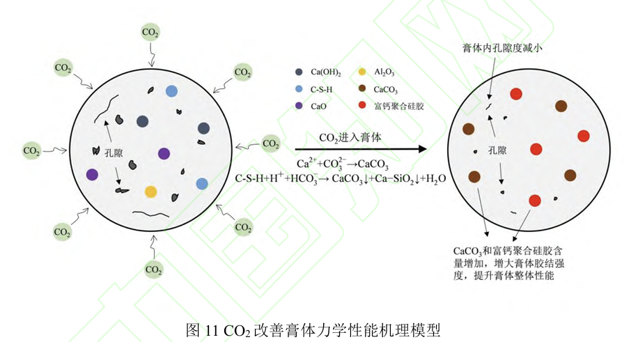 图11COz改善膏体力学性能机理模型.png