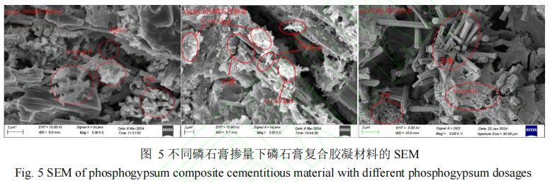 不同磷石膏掺量下磷石膏复合胶凝材料的 SEM