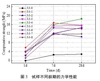 试样不同龄期的力学性能